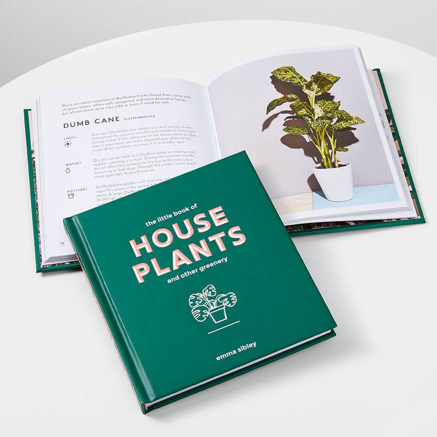 the-little-book-of-house-plants-plants